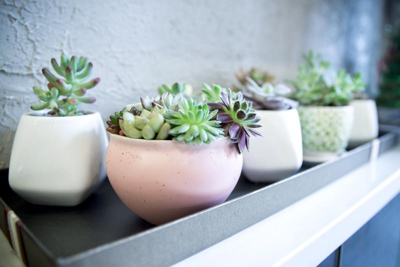 Fire in the kiln: The rising popularity of ceramics